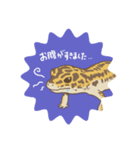 レオパのヒマちゃん（個別スタンプ：7）