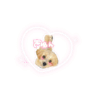 ぽんさん☀️（個別スタンプ：1）