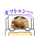 ぽんさん☀️（個別スタンプ：5）
