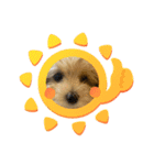 ぽんさん☀️（個別スタンプ：7）