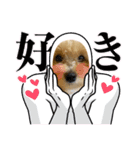 ぽんさん☀️（個別スタンプ：13）
