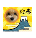 ぽんさん☀️（個別スタンプ：15）