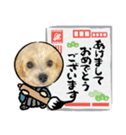 ぽんさん☀️（個別スタンプ：16）
