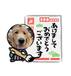 モイちゃん1歳（個別スタンプ：2）