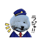 トイプードル ”はる” の1日（個別スタンプ：3）