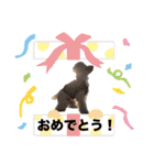 トイプードル ”はる” の1日（個別スタンプ：8）