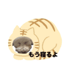 トイプードル ”はる” の1日（個別スタンプ：9）