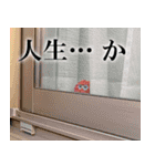 ひき肉くん（おかわり）（個別スタンプ：21）