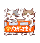 いろんなねこちゃんのスタンプ（個別スタンプ：31）