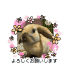ロップイヤーのひと言（個別スタンプ：8）