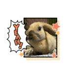 ロップイヤーのひと言（個別スタンプ：27）