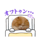 マシューちゃんの日常（個別スタンプ：39）