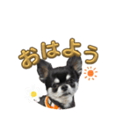 てて2024（個別スタンプ：1）