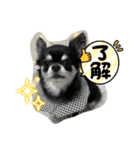 てて2024（個別スタンプ：5）