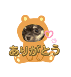 てて2024（個別スタンプ：8）