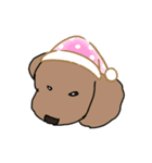 トイ・プードルのてんこちゃん（個別スタンプ：8）