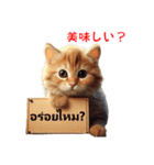 かわいい猫のメッセージ：タイ語と日本語（個別スタンプ：5）