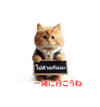 かわいい猫のメッセージ：タイ語と日本語（個別スタンプ：8）