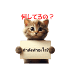 かわいい猫のメッセージ：タイ語と日本語（個別スタンプ：9）