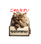 かわいい猫のメッセージ：タイ語と日本語（個別スタンプ：11）