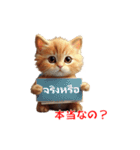 かわいい猫のメッセージ：タイ語と日本語（個別スタンプ：13）