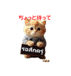 かわいい猫のメッセージ：タイ語と日本語（個別スタンプ：16）