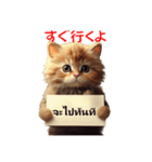 かわいい猫のメッセージ：タイ語と日本語（個別スタンプ：18）