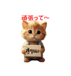 かわいい猫のメッセージ：タイ語と日本語（個別スタンプ：19）