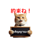 かわいい猫のメッセージ：タイ語と日本語（個別スタンプ：21）