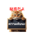 かわいい猫のメッセージ：タイ語と日本語（個別スタンプ：22）