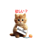 かわいい猫のメッセージ：タイ語と日本語（個別スタンプ：24）