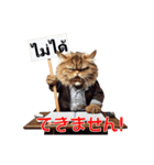 かわいい猫のメッセージ：タイ語と日本語（個別スタンプ：25）