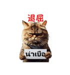 かわいい猫のメッセージ：タイ語と日本語（個別スタンプ：27）