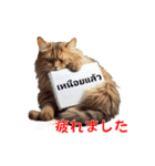 かわいい猫のメッセージ：タイ語と日本語（個別スタンプ：28）