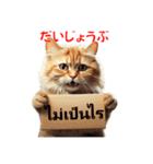 かわいい猫のメッセージ：タイ語と日本語（個別スタンプ：29）