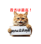 かわいい猫のメッセージ：タイ語と日本語（個別スタンプ：30）