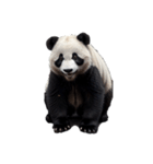 ぱんだ panda..（個別スタンプ：9）