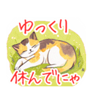 にゃーにゃんフレンズ／日常スタンプ 1（個別スタンプ：16）