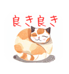 にゃーにゃんフレンズ／日常スタンプ 1（個別スタンプ：20）