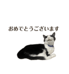 ねおりん《使いやすい》（個別スタンプ：14）