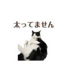 ねおりん《使いやすい》（個別スタンプ：23）