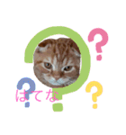 麗生ときなこ（個別スタンプ：1）