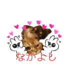 麗生ときなこ（個別スタンプ：2）