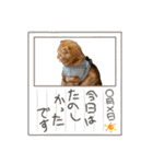麗生ときなこ（個別スタンプ：17）