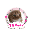 麗生ときなこ（個別スタンプ：19）