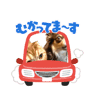 麗生ときなこ（個別スタンプ：22）