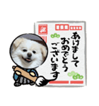 ちょこっとレフラースタンプ（個別スタンプ：1）
