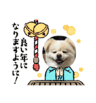 ちょこっとレフラースタンプ（個別スタンプ：3）