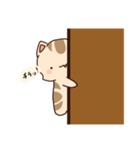 ネコニャ！（個別スタンプ：7）