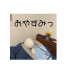 コジマとオバタ。（個別スタンプ：5）